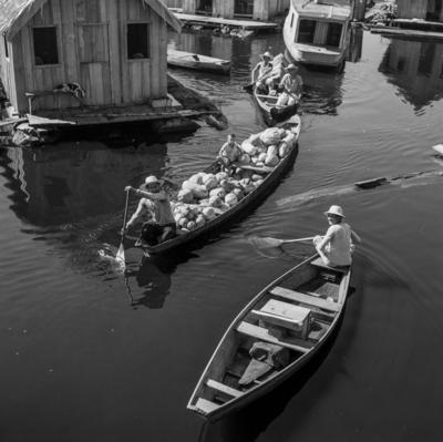 Palafitas flutuantes