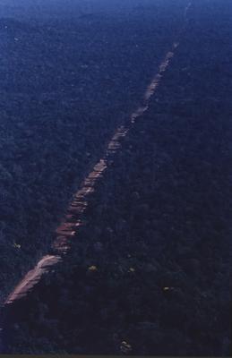 Vista aérea de estrada em meio à floresta
