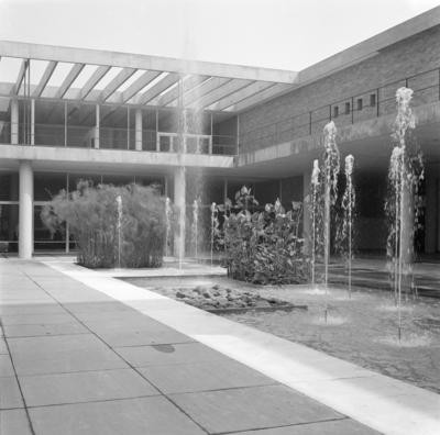 Museu de Arte Moderna - MAM