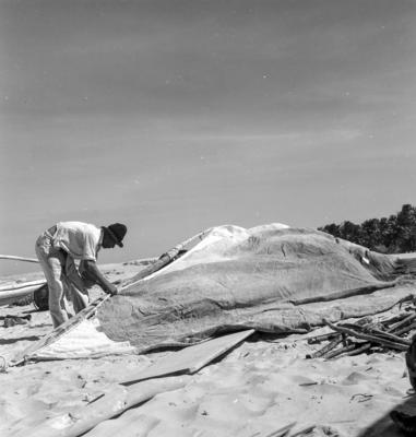 Jangadas e jangadeiros