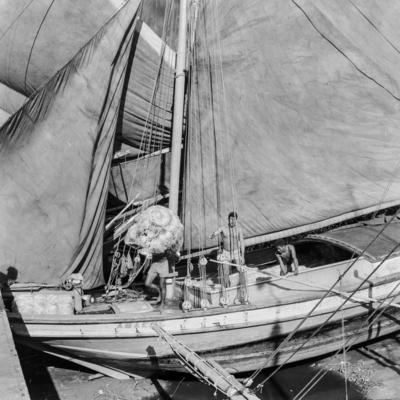 Homens descarregando juta