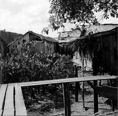 Vila da Barca, palafitas flutuantes