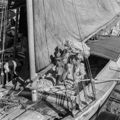 Homens descarregando juta