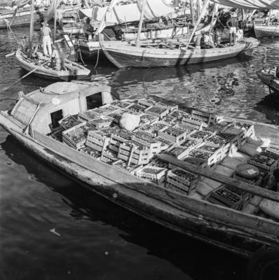 Embarcações na rampa e arredores do Mercado Modelo