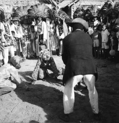 Bumba meu boi, festa popular