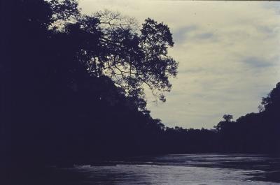Expedição Pico da Neblina