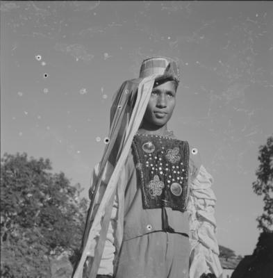 Bumba meu boi, festa popular