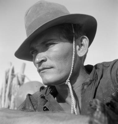 Jangadas e jangadeiros