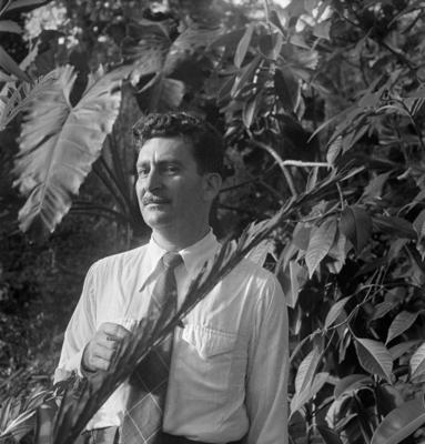 O paisagista Roberto Burle Marx