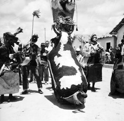 Bumba Meu Boi, festa popular