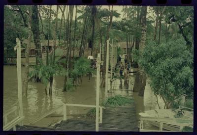 Projeto Navegar Amazônia