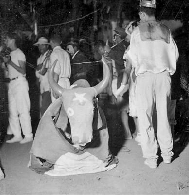 Cavalo Marinho, festa popular