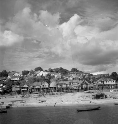 Bumba meu boi, festa popular