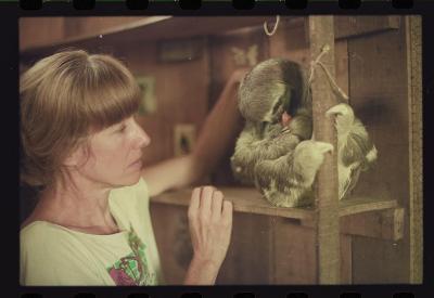 Heidi e as preguiças