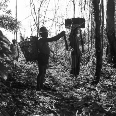 Expedição do SPI que estabeleceu os primeiros contatos com o povo Asuriní do Tocantins