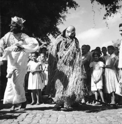 Bumba meu boi, festa popular