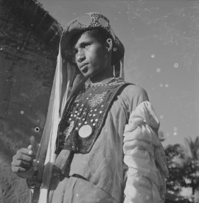 Bumba meu boi, festa popular