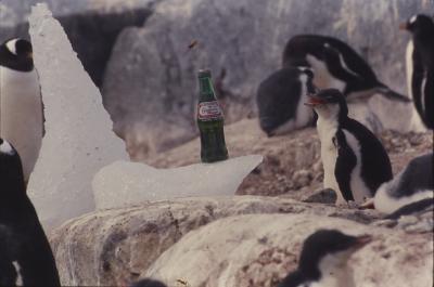 Ensaio de merchandising para o Guaraná Antarctica