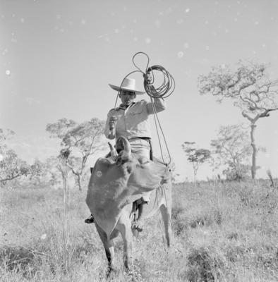 Vaqueiro - Ilha Mexiana