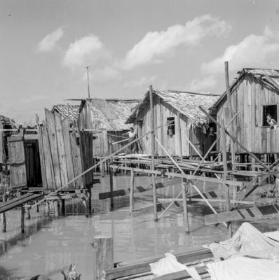 Vila da Barca, palafitas flutuantes