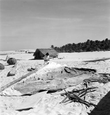 Jangadas e jangadeiros