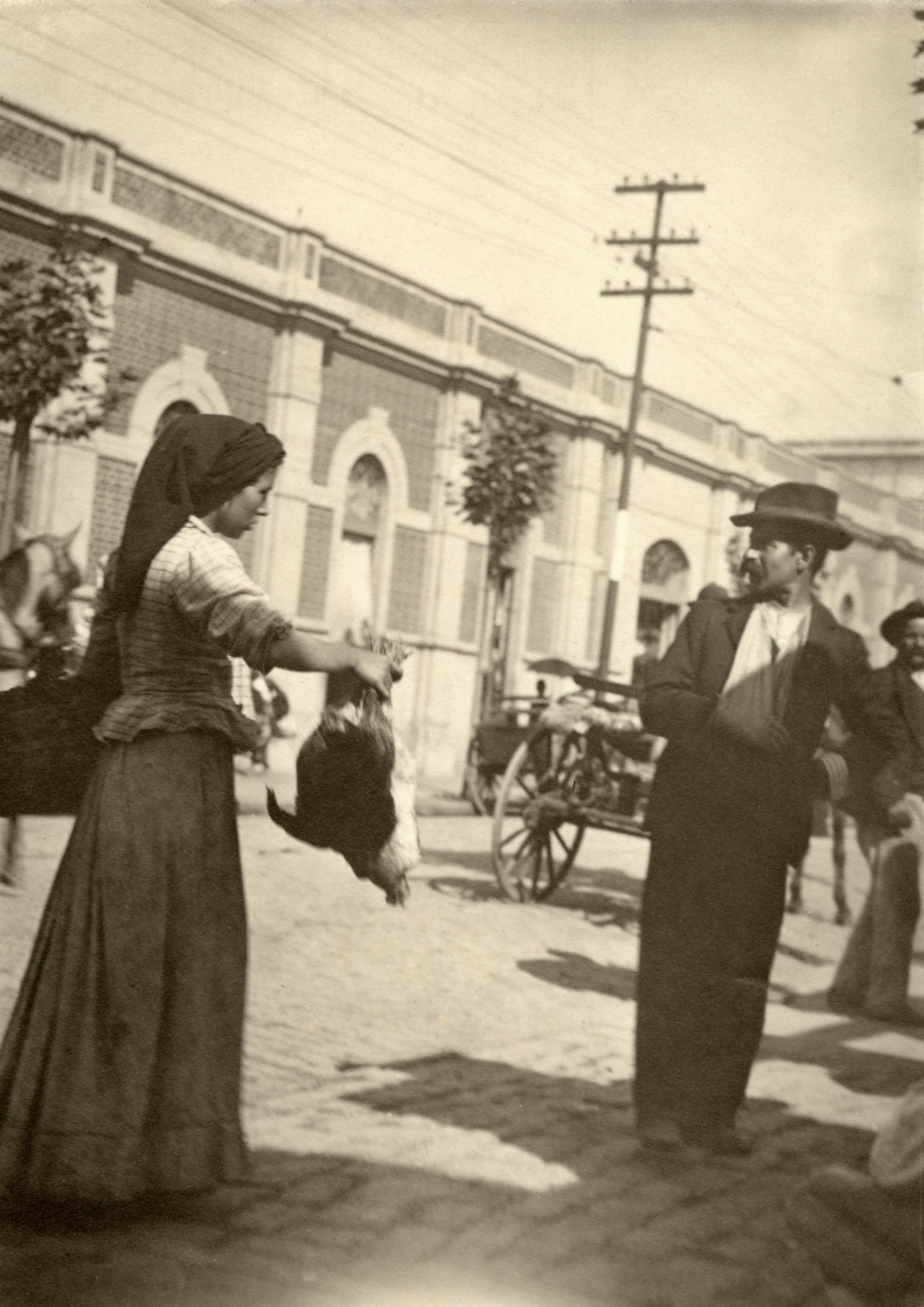 Vendedora de galinha