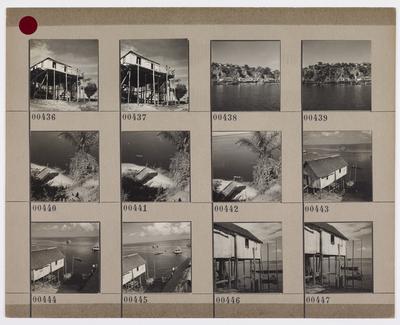 Palafitas flutuantes