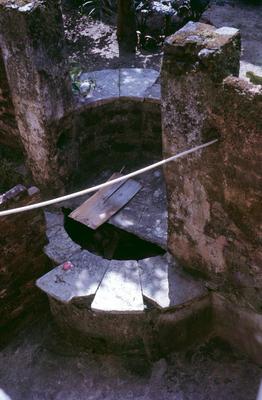 Sobrado Ribeirão - vista do pátio posterior