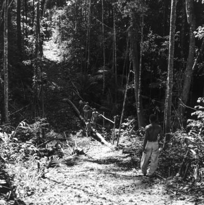 Expedição do SPI que estabeleceu os primeiros contatos com o povo Asuriní do Tocantins