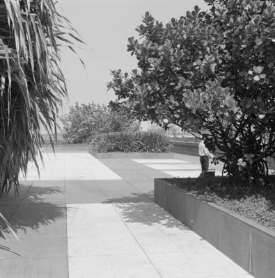 Museu de Arte Moderna - MAM