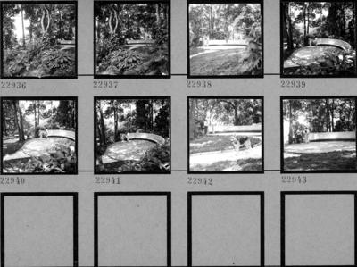 Flora no Sítio Burle Marx