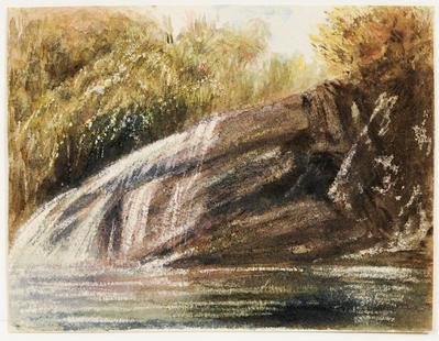 [Floresta com cachoeira]