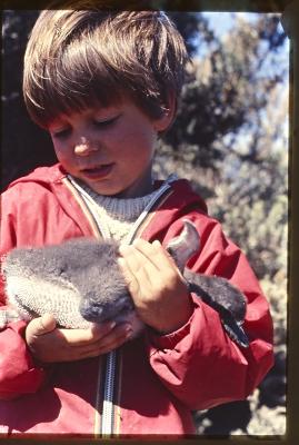 Aventuras de Igor na Antártida