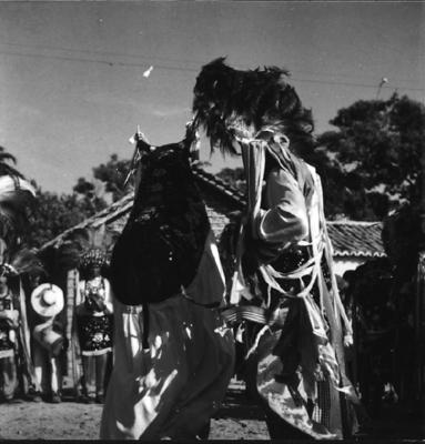 Bumba meu boi, festa popular