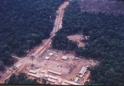 Vista aérea para floresta
