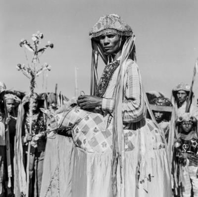 Bumba meu boi, festa popular