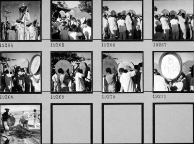 Bumba meu boi, festa popular