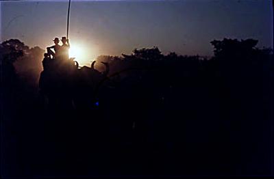 Série Guimarães Rosa