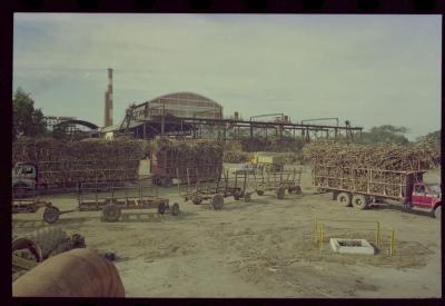 Produção de filme institucional sobre usinas de açúcar