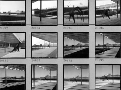 Museu de Arte Moderna - MAM , escultura de Alexander Calder