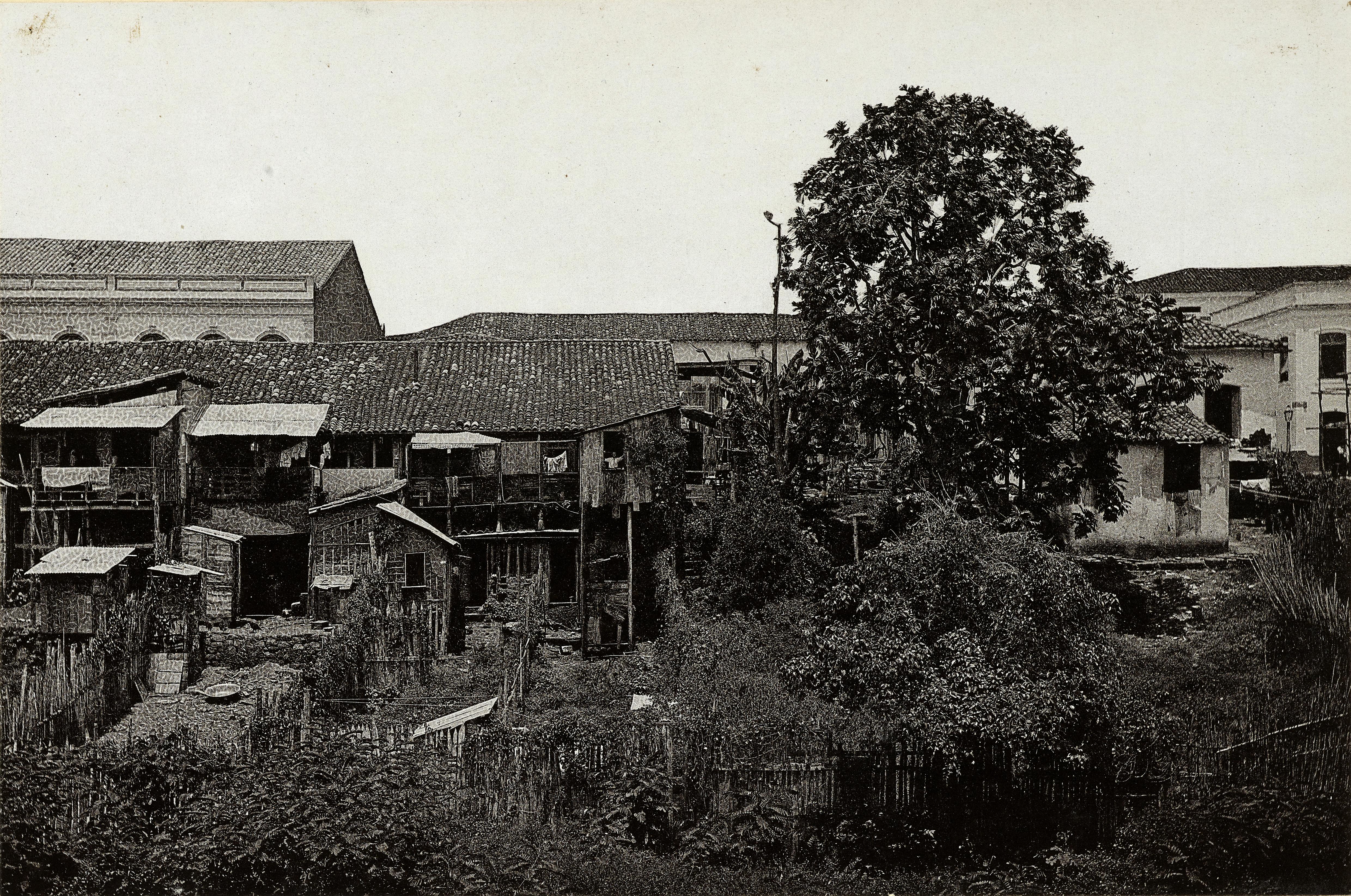 Igarapé de São Vicente