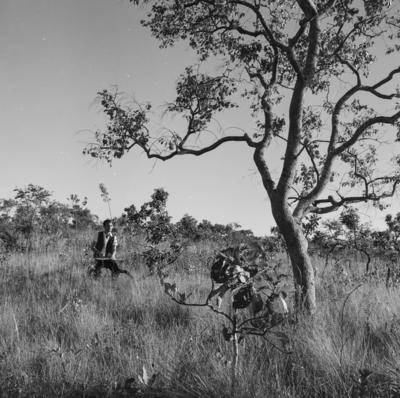 Estudantes da Universidade de Brasília
