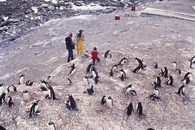 Jorge Bodanzky e Serge Guitton filmam Igor Belli