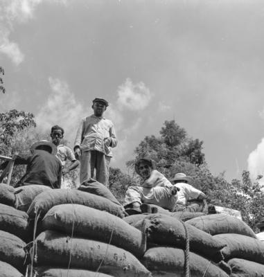 Série "Estrada de Ferro Tocantins"