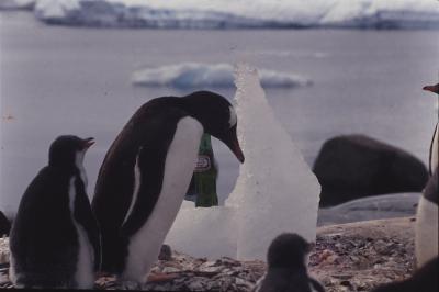 Ensaio de merchandising para o Guaraná Antarctica