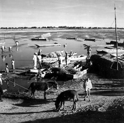 Cena do Rio São Francisco