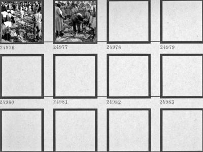 Alumiação, festa popular