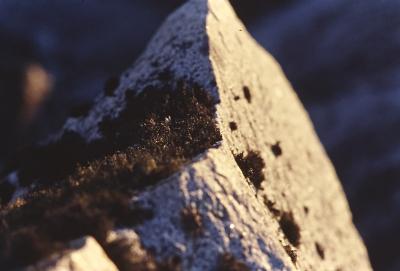 Aventuras de Igor na Antártida