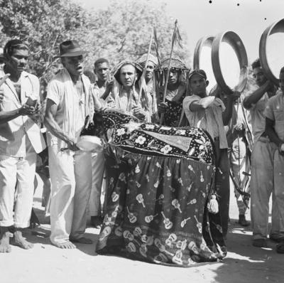 Bumba meu boi, festa popular