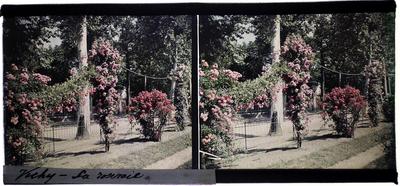 Vichy - O jardim de rosas